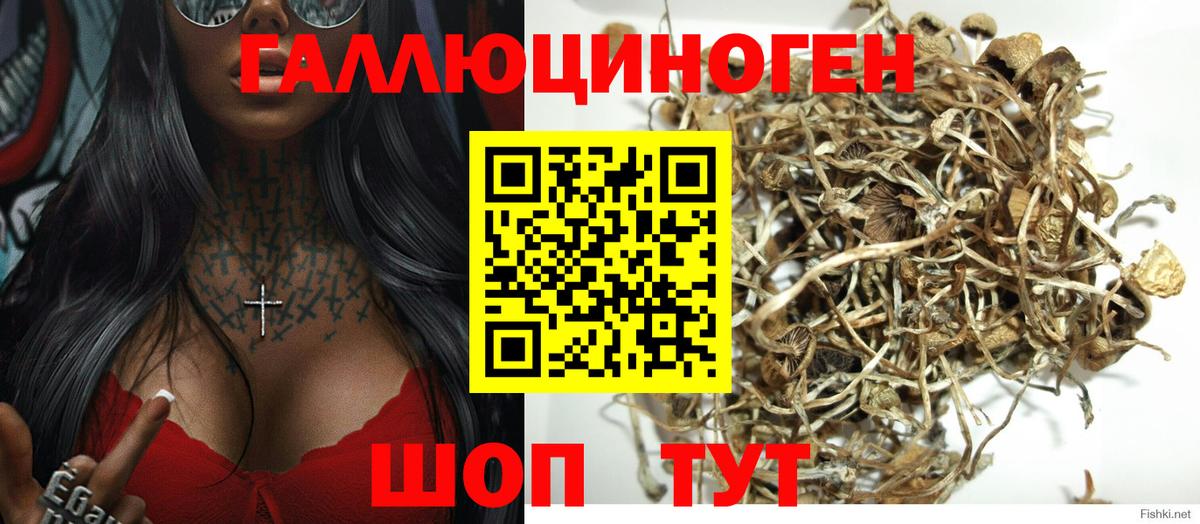 Псилоцибиновые грибы MAGIC MUSHROOMS  Вход с VPN  Крымск  Псилоцибиновые грибы ЛСД 